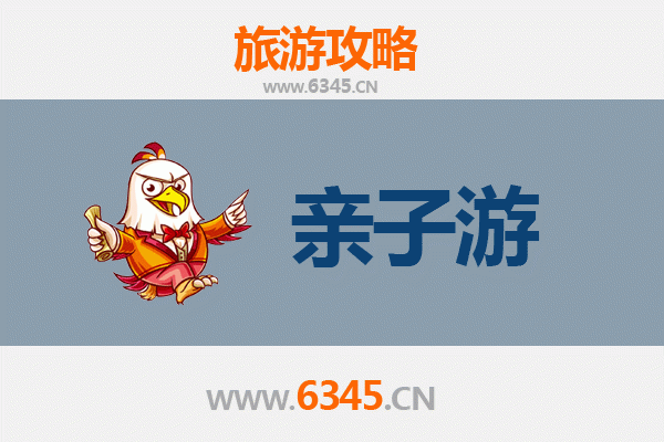 海南临高和舍镇亲子游攻略：自然探索与乡村乐趣